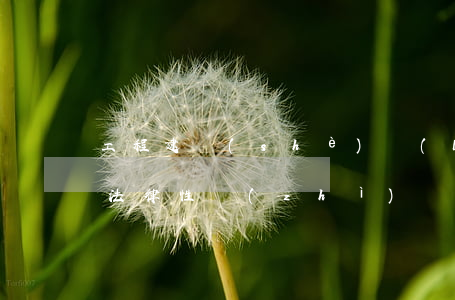 工程建設(shè)聯(lián)合體的法律性質(zhì)