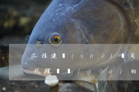 工程建設(shè)項目招標(biāo)代理機構(gòu)的資格怎么認(rèn)定