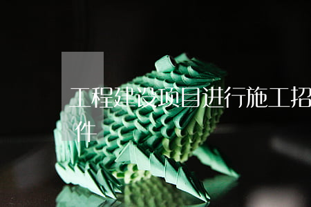 工程建设项目进行施工招标应当具备哪些条件