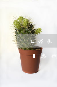 工程承包合同糾紛如何解決(建筑工程承包糾紛案例)