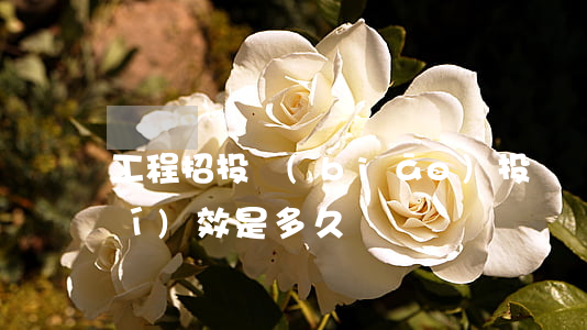 工程招投標(biāo)投訴處理時(shí)效是多久