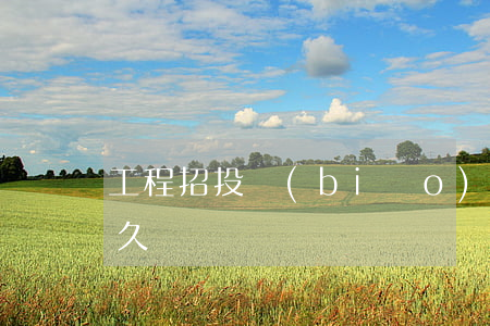 工程招投標(biāo)投訴處理時效是多久