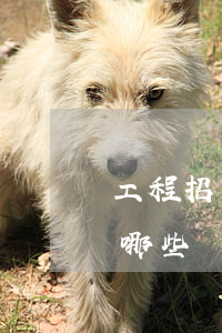 工程招標(biāo)風(fēng)險有哪些