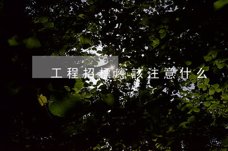 工程招標應該注意什么