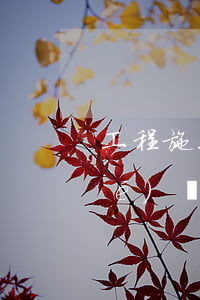 工程施工協(xié)議(工程施工協(xié)議書有什么法律效益)