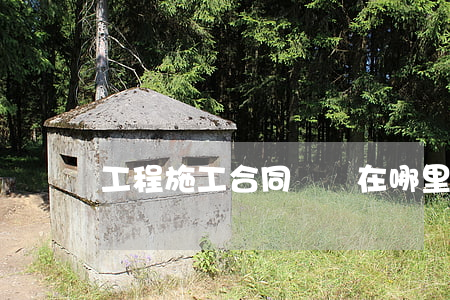 工程施工合同糾紛在哪里起訴