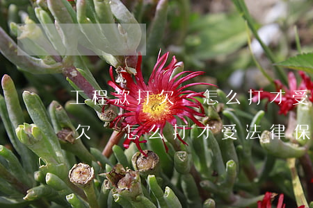 工程款打欠條怎么打才受法律保護(工程款打欠條怎么打才受法律保護)