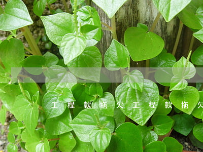 工程款拖欠(工程款拖欠多久可以起訴)