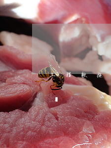 工程款拖欠怎么寫欠條(工程材料款欠條怎么寫)