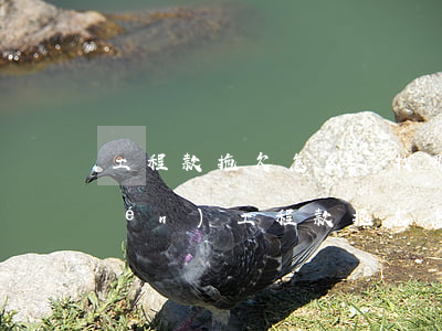工程款拖欠怎么辦找哪個(gè)部門(mén)(工程款拖欠怎么辦找哪個(gè)部門(mén)最有效)