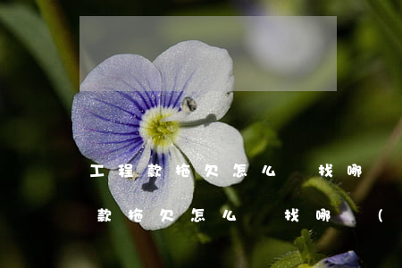 工程款拖欠怎么辦找哪個(gè)部門(工程款拖欠怎么辦找哪個(gè)部門政府)