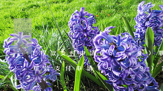 工程款支付申請(qǐng)單(樣本)（工程款支付申請(qǐng)審批表的附件）
