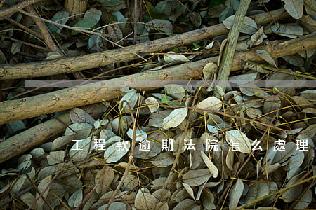 工程款逾期法院怎么處理(工程逾期處理方法)