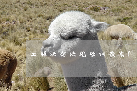 工程法律法规培训教案(建设法规教案)