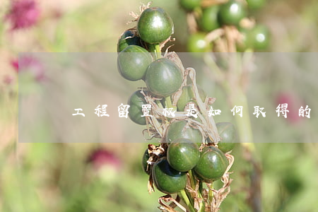 工程留置权是如何取得的