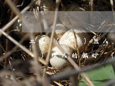 工程發(fā)包人、承包人和監(jiān)理人的“微妙”關(guān)系