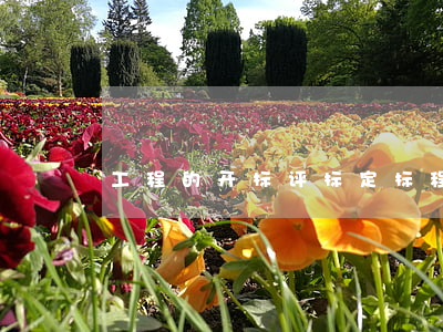 工程的开标评标定标程序