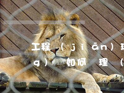 工程監(jiān)理合同糾紛應(yīng)該如何處理(項(xiàng)目監(jiān)理機(jī)構(gòu)在施工合同爭(zhēng)議處理過程中)