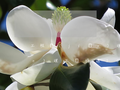 工程監(jiān)理工資(工程監(jiān)理工資待遇2020)