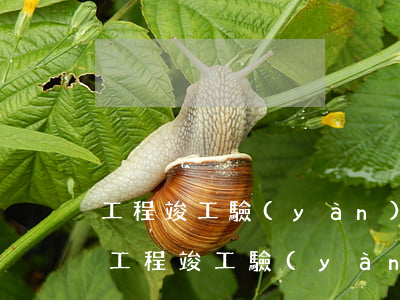 工程竣工驗(yàn)收報(bào)告單(工程竣工驗(yàn)收報(bào)告單模板下載)