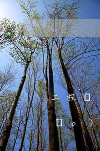 工程糾紛律師費(fèi)用收取標(biāo)準(zhǔn)(起訴工程款律師費(fèi)用收取標(biāo)準(zhǔn))
