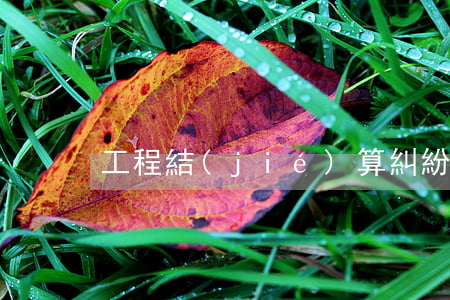 工程結(jié)算糾紛起訴狀是怎樣的