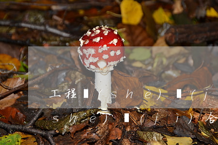 工程設(shè)計(jì)合同(工程設(shè)計(jì)合同印花稅稅率)