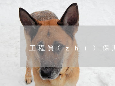 工程質(zhì)保期