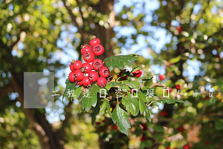 工程造價咨詢服務(wù)合同書