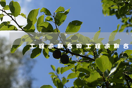 工程逾期合同 工程逾期合同協(xié)議書