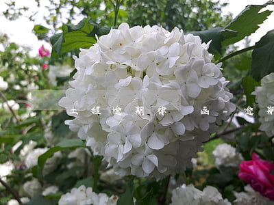 工程逾期律師函-逾期發(fā)的律師函