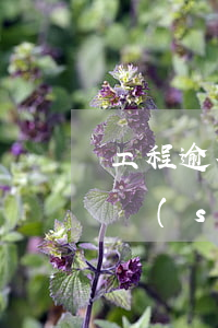 工程逾期最晚什么時(shí)候 約定開工時(shí)間可以逾期多久