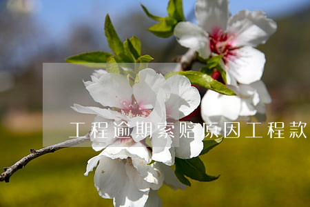 工程逾期索赔原因 工程款逾期支付索赔项目