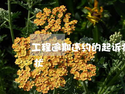 工程逾期违约的起诉状(工程逾期违约的起诉状)