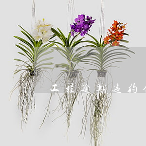 工程逾期违约金效力及其抵消权的法律解读
