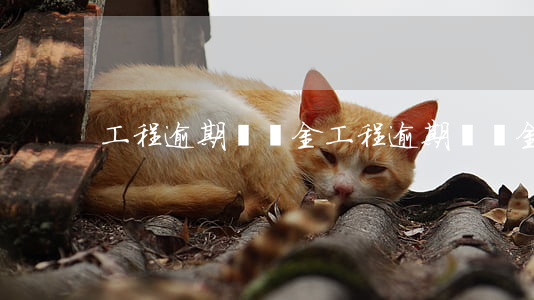 工程逾期違約金(工程逾期違約金多少錢一天)