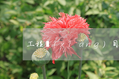 工程項(xiàng)目合同糾紛怎么處理