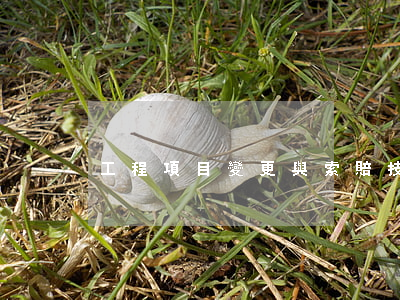 工程項目變更與索賠技巧