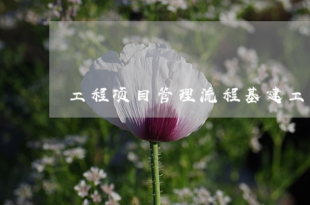工程项目管理流程(基建工程项目管理流程)