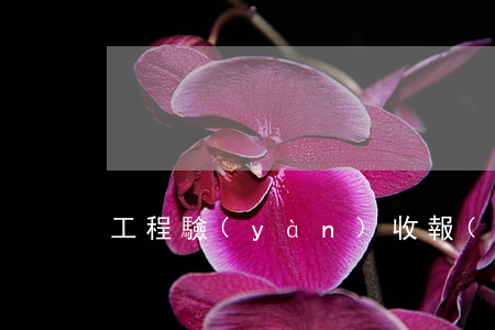 工程驗(yàn)收報(bào)告