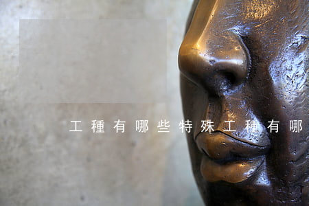 工種有哪些(特殊工種有哪些)