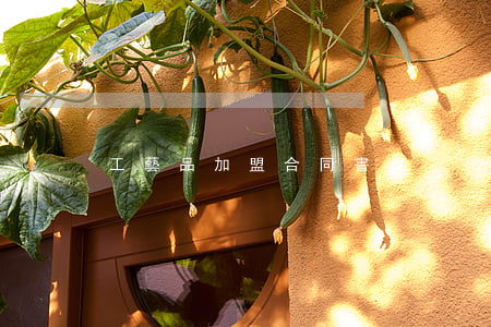 工藝品加盟合同書