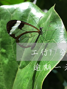 工行1分的信用卡導(dǎo)致逾期(工行逾期一天的信用卡對自己有什么影響)