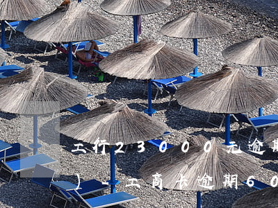 工行23000元逾期30天凍結(jié)-工商卡逾期60天凍結(jié)