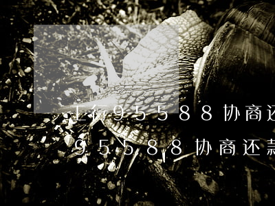 工行95588协商还款叫我先打钱-工行95588协商还款叫我先打钱怎么办