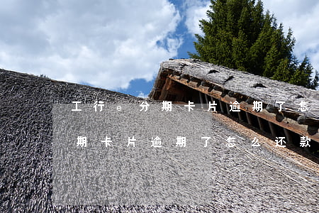 工行e分期卡片逾期了怎么还款-工行e分期卡片逾期了怎么还款啊