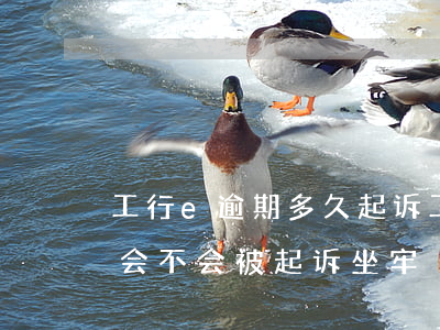 工行e逾期多久起诉(工行融e借逾期三万多,会不会被起诉,坐牢)