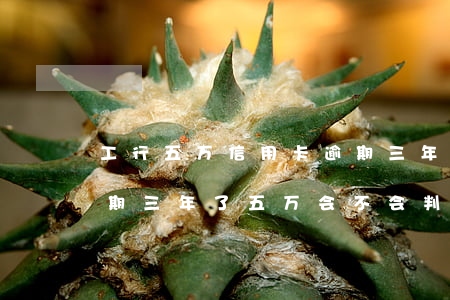 工行五万信用卡逾期三年(工商银行信用卡逾期三年了五万会不会判刑)