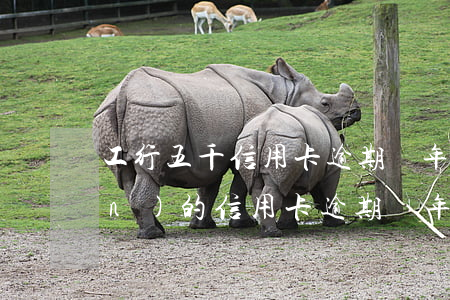 工行五千信用卡逾期兩年-工商兩萬(wàn)的信用卡逾期兩年