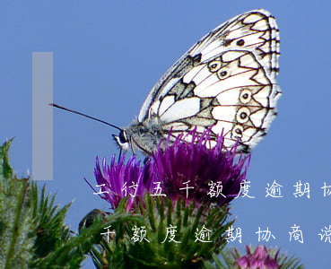 工行五千额度逾期协商说本金一万-工行五千额度逾期协商说本金一万是真的吗